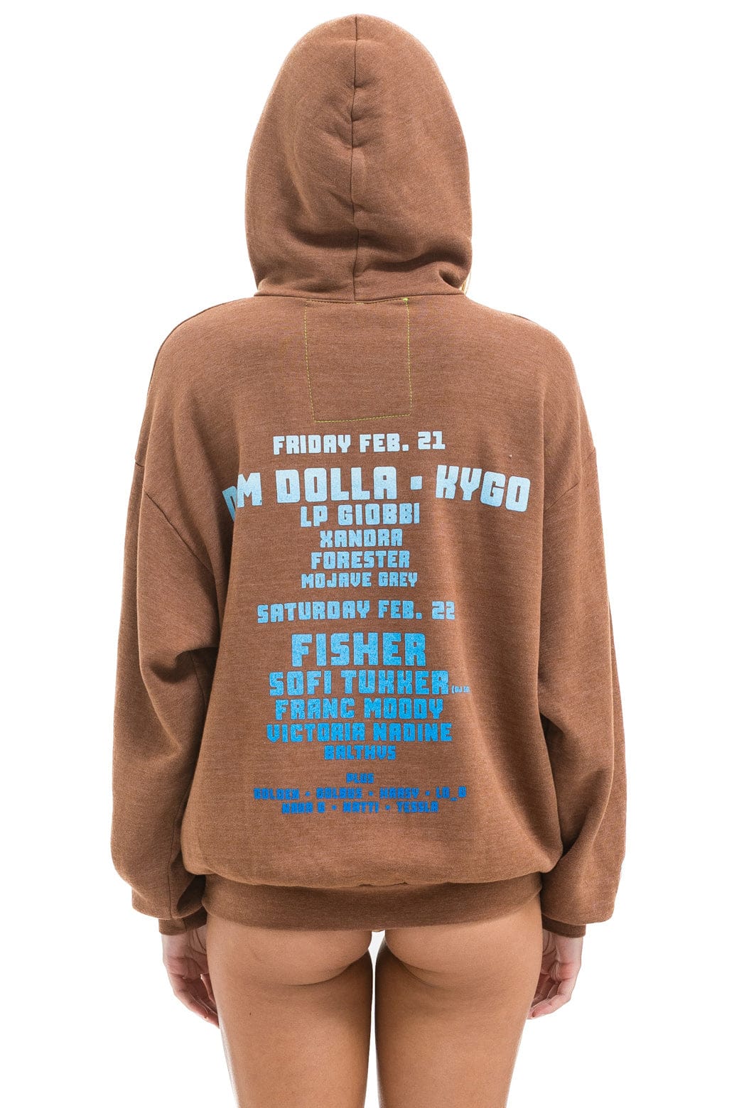 PALM TREE FESTIVAL ASPEN 2025 PULLOVER HOODIE RELAXED - BROWN - Image 3