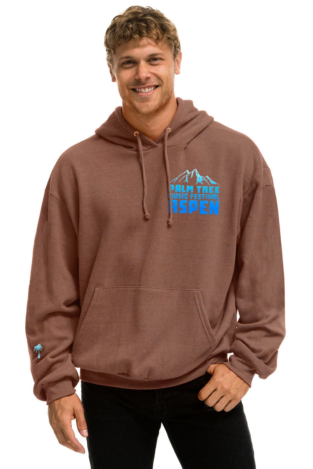 PALM TREE FESTIVAL ASPEN 2025 PULLOVER HOODIE RELAXED - BROWN - Image 2