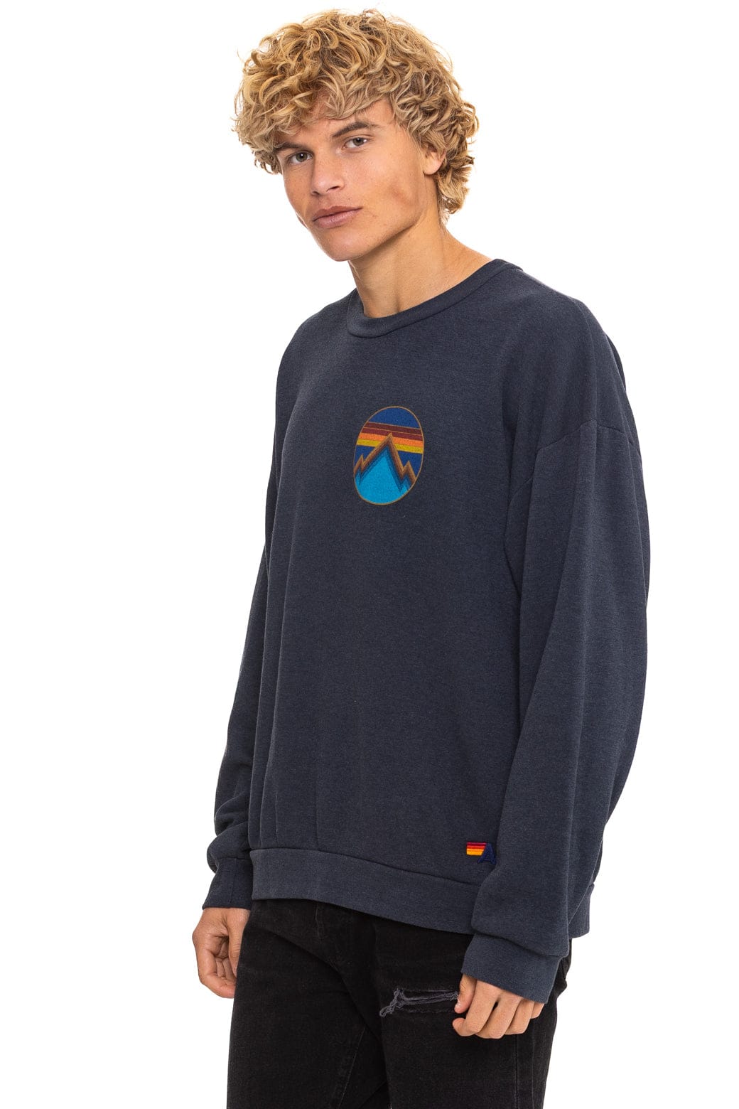 ALL SEASONS CIRCLE RELAXED CREW SWEATSHIRT - CHARCOAL - Image 4