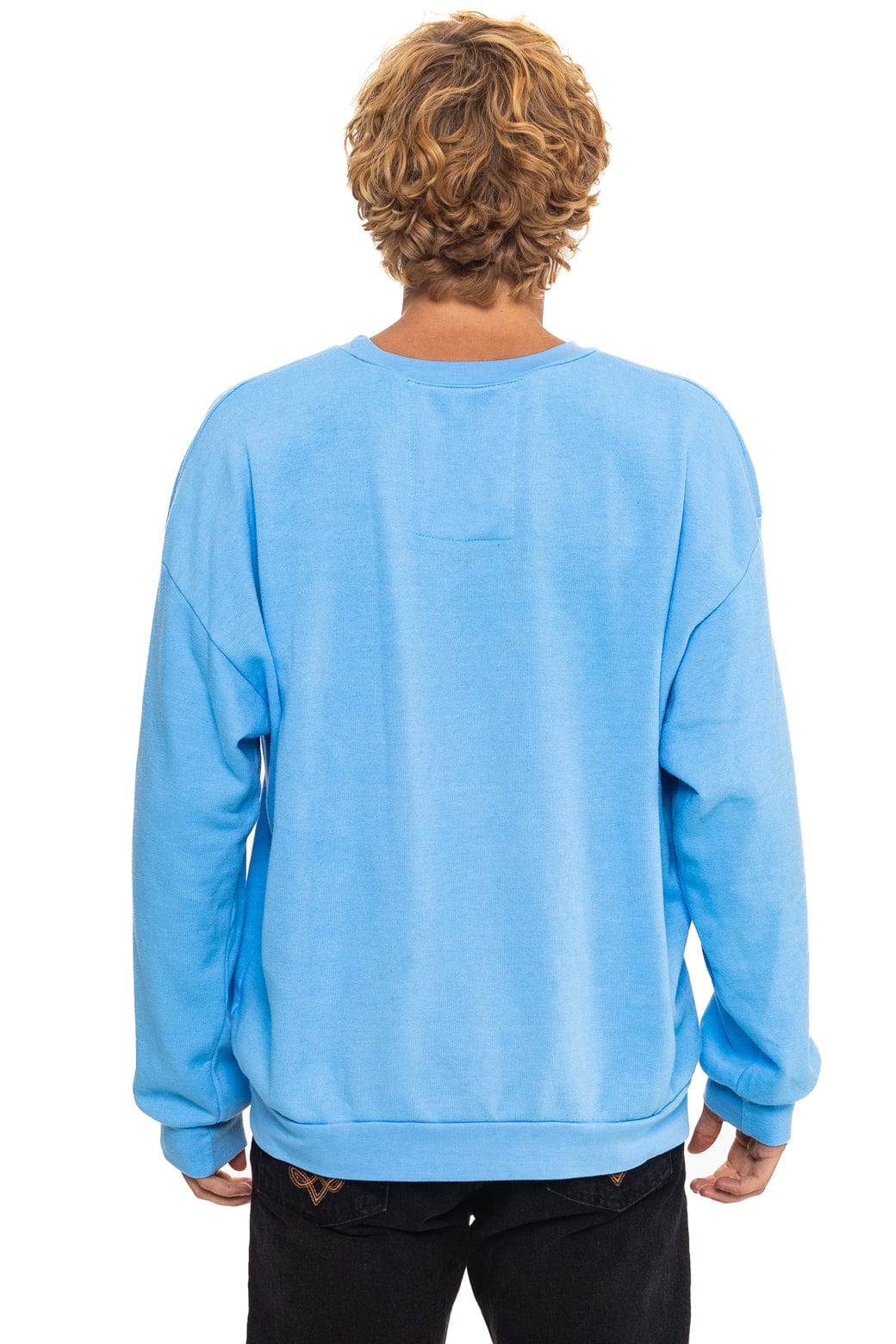 ALL SEASONS CIRCLE RELAXED CREW SWEATSHIRT - SKY - Image 8