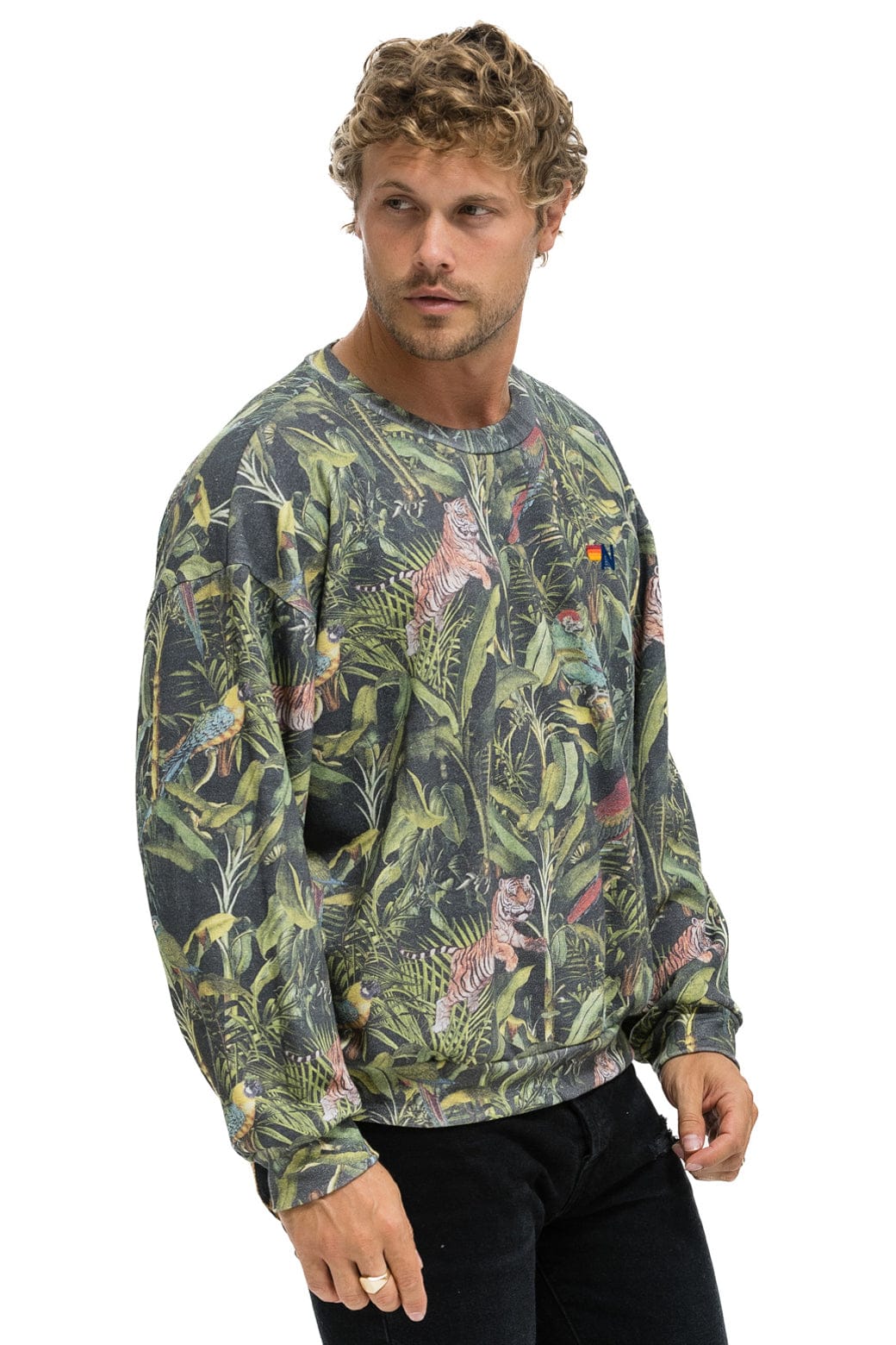 JUNGLE RELAXED CREW SWEATSHIRT - VINTAGE CHARCOAL - Image 4