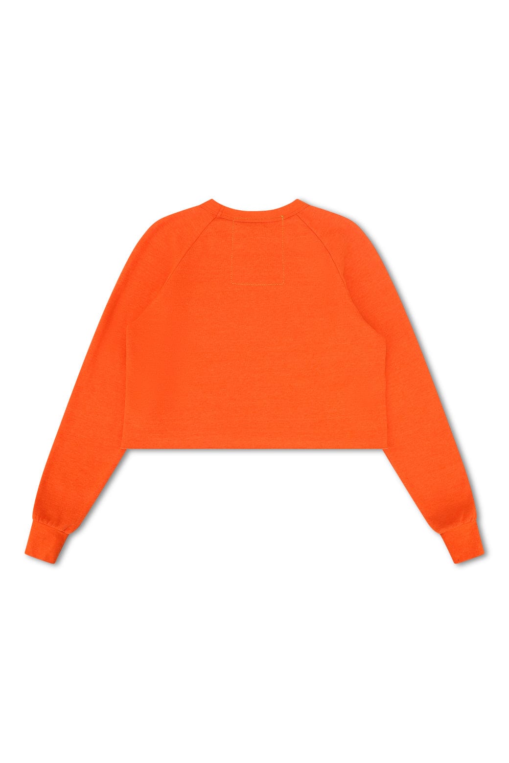 UNIVERSITY OF FLORIDA CROPPED CREW SWEATSHIRT - ORANGE - Image 4