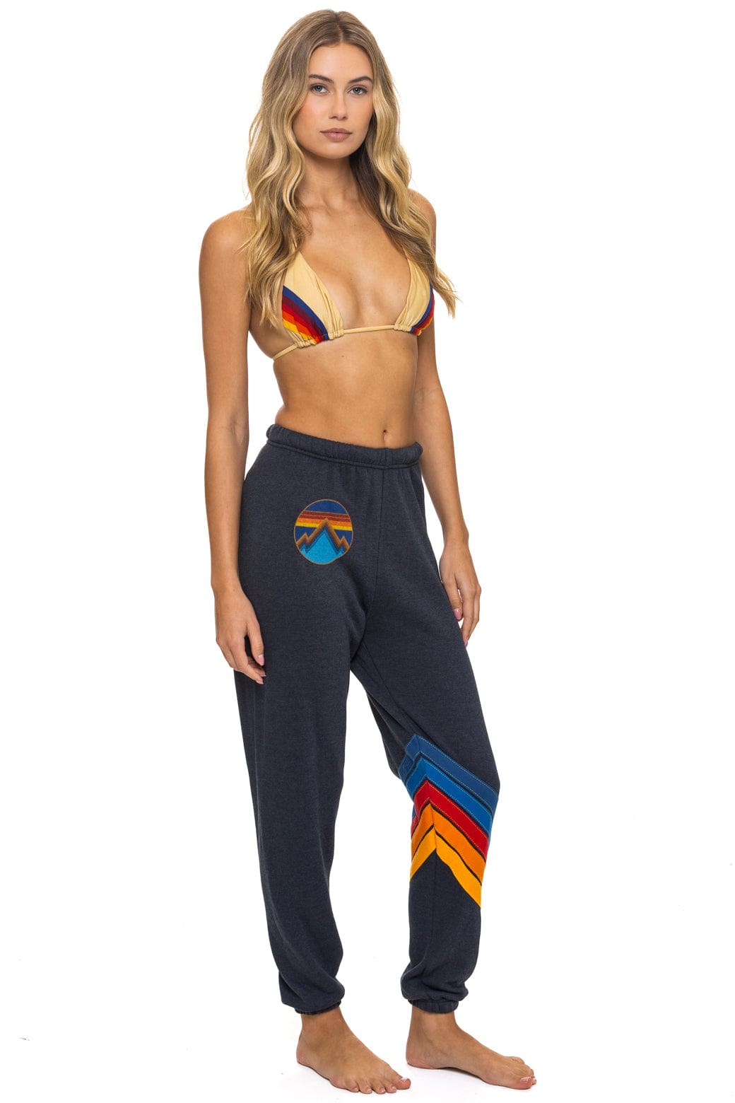 ALL SEASONS CIRCLE CHEVRON SWEATPANTS - CHARCOAL - Image 5